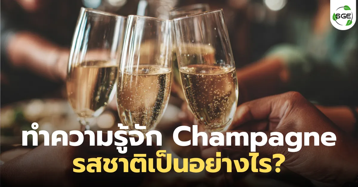 รู้จัก แชมเปญ รสชาติเป็นอย่างไร กินกับอะไรดีที่สุด